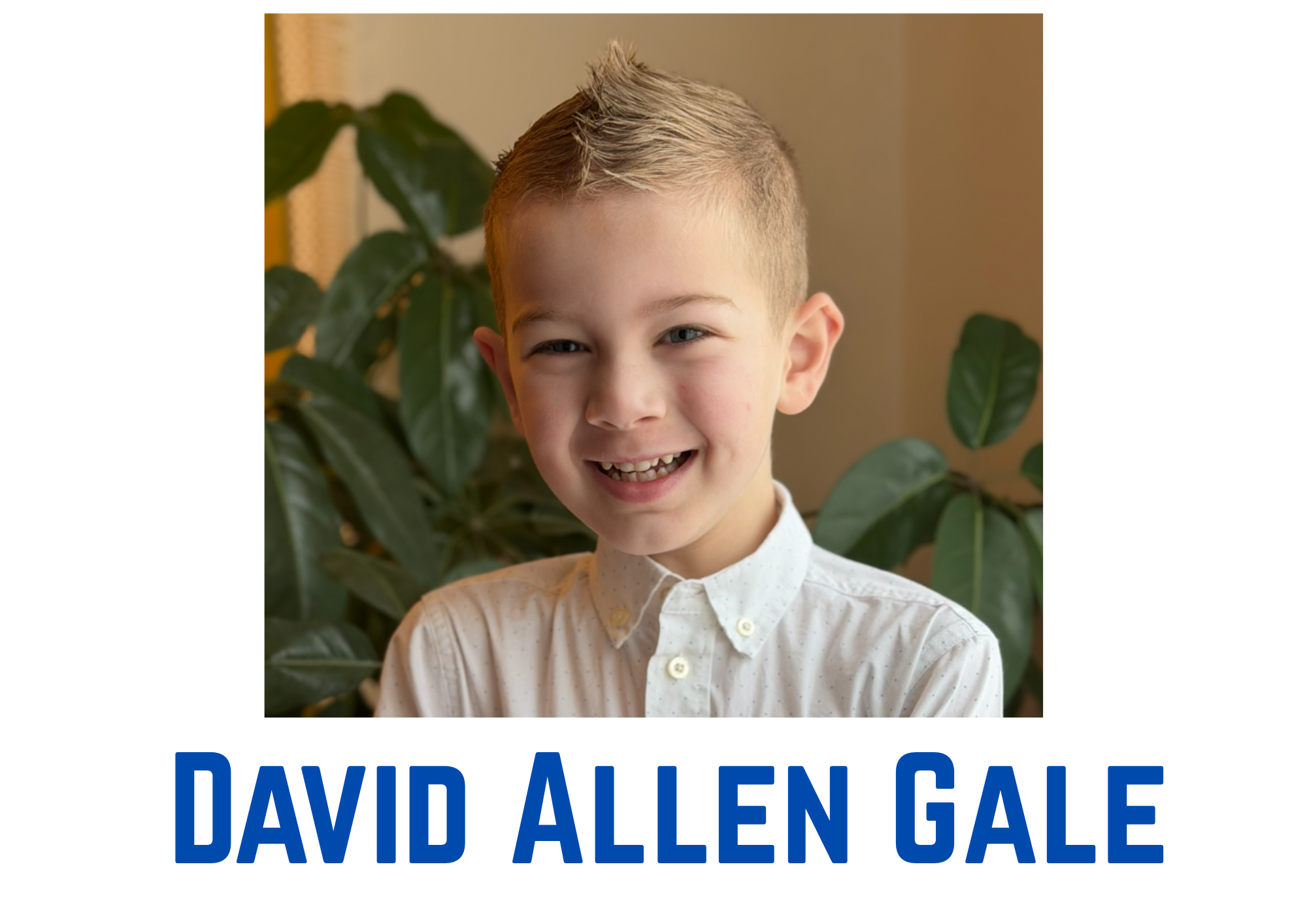 
											David Allen Gale											