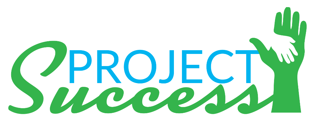 
											Project Success											